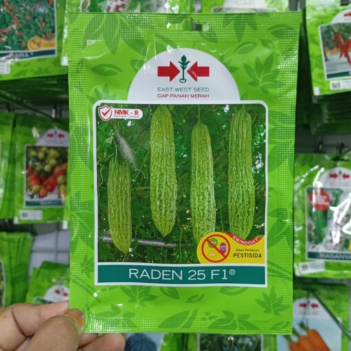 Warta Terbaru